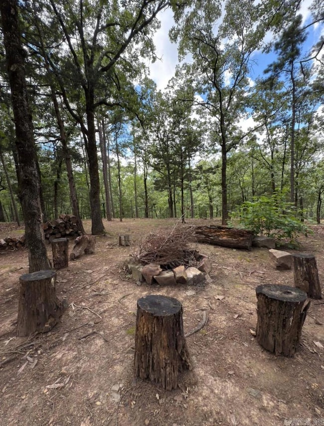 2730 Collins Dr, Conway, AR 72034 - photo 6