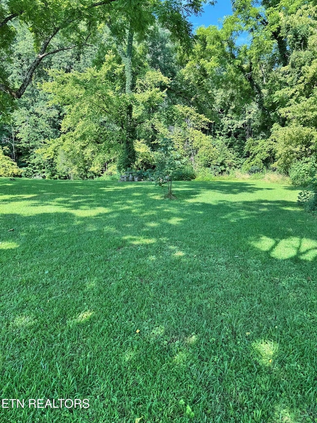 0 River Bank Rd unit 1308284, Pigeon Forge, TN 37863 - photo 4