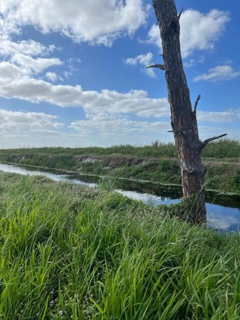 Xxx Dennis St unit Lot 73, Loxahatchee, FL 33470 - photo 4