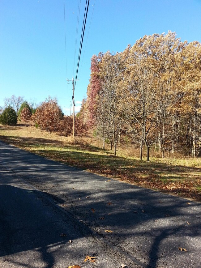 Lot 37 Buttonwood, Kimberling City, MO 65686 - photo 3