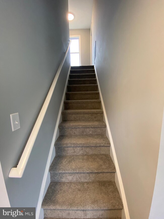 491 Stonewall St, Strasburg, VA 22657 - photo 5