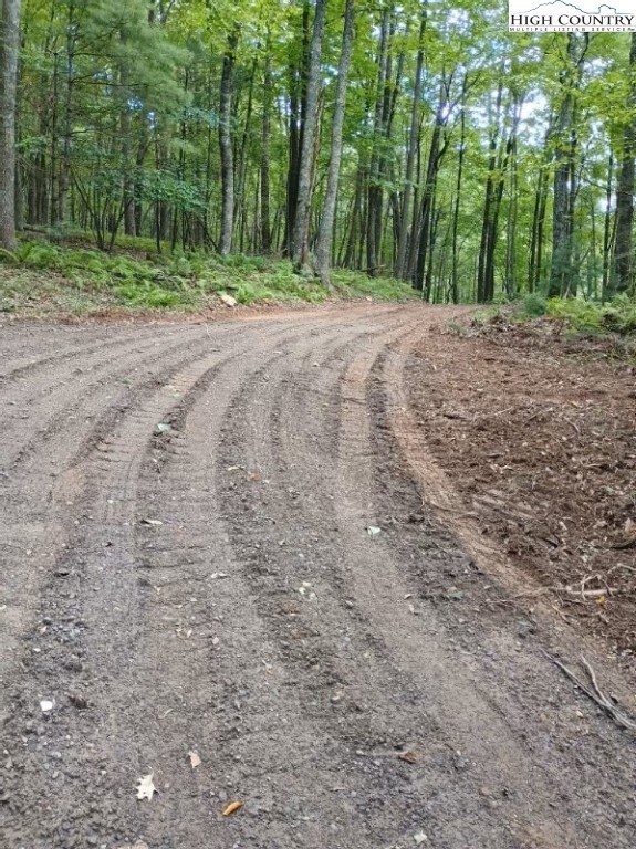 TBD Elk Knob Rd, Laurel Springs, NC 28644 - photo 7