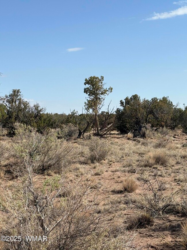 8580c Lawson Ln unit Parcel C, Snowflake, AZ 85937 - photo 5