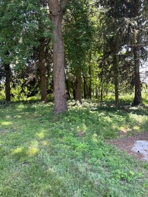 thumbnail_IMG_0591 - Copy (2)