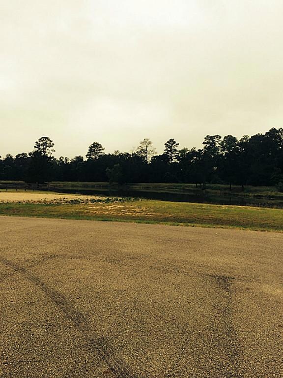 25111 Oak Hollow Blvd, Hockley, TX 77447 - photo 7