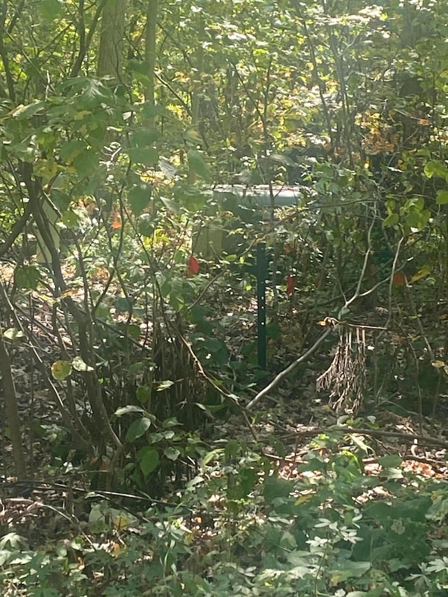 7813/7831 Wilderness Dr, Weidman, MI 48893 - photo 2