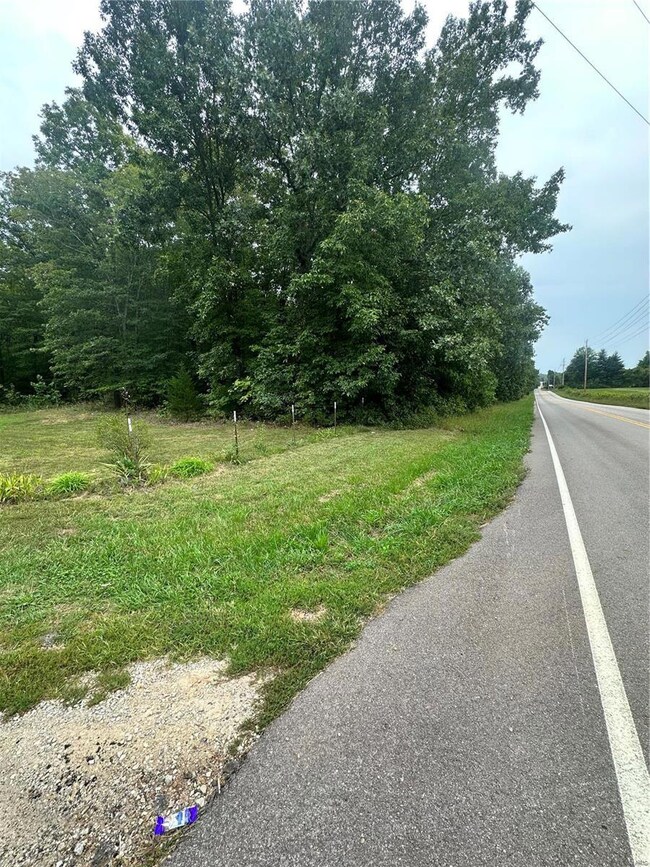 0 10 Acres State Hwy E, Cadet, MO 63630 - photo 4
