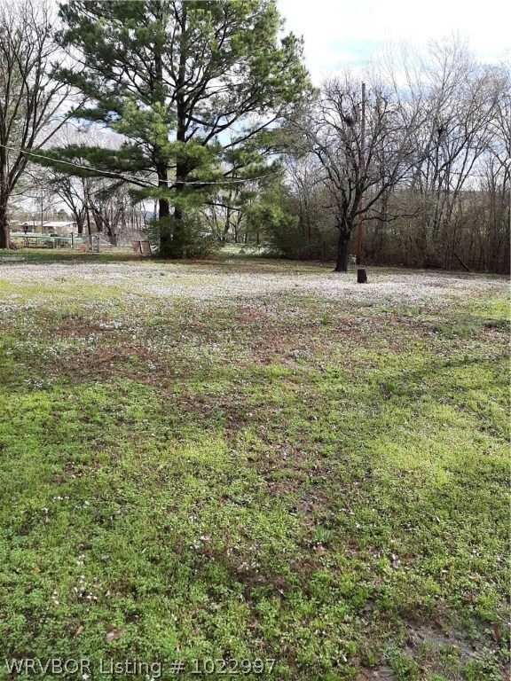Rear yard - nice garden spot and room for kids as