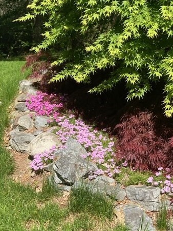 97 E Haynes Rd, Townsend, MA 01469 - photo 7