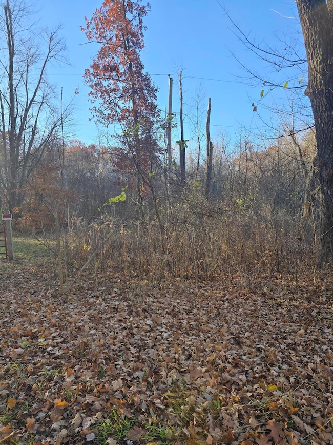 VL Marcellus Hwy, Marcellus, MI 49067 - photo 7