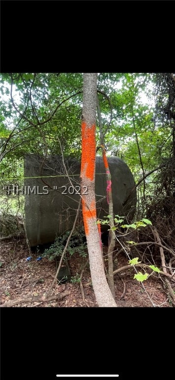 Back left corner of lot.