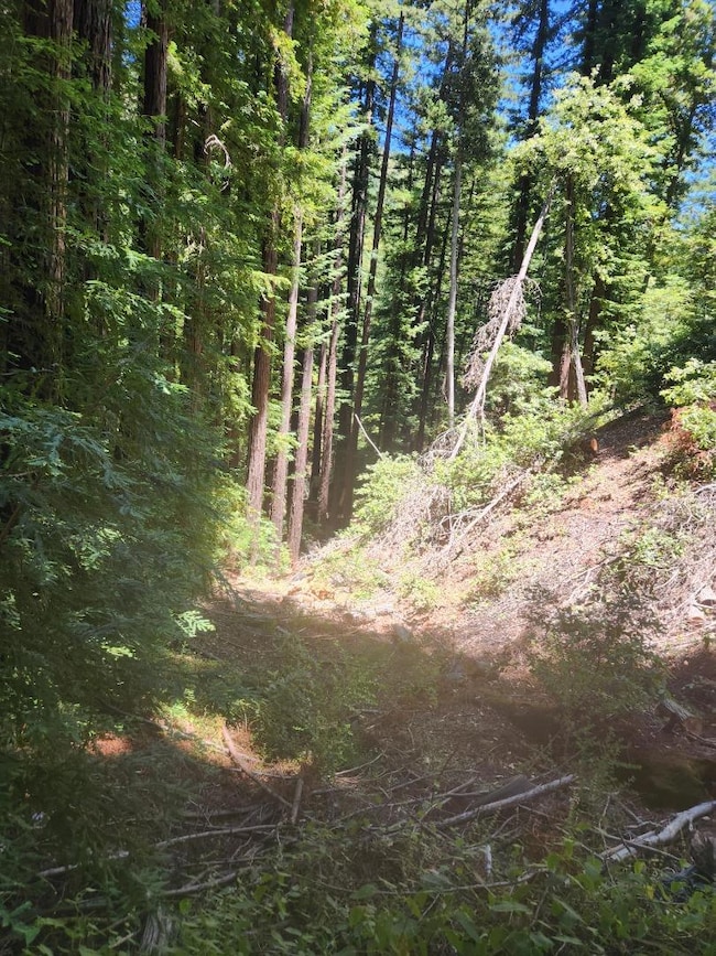 0 Lost Valley Rd unit ML82027788, Los Gatos, CA 95033 - photo 5