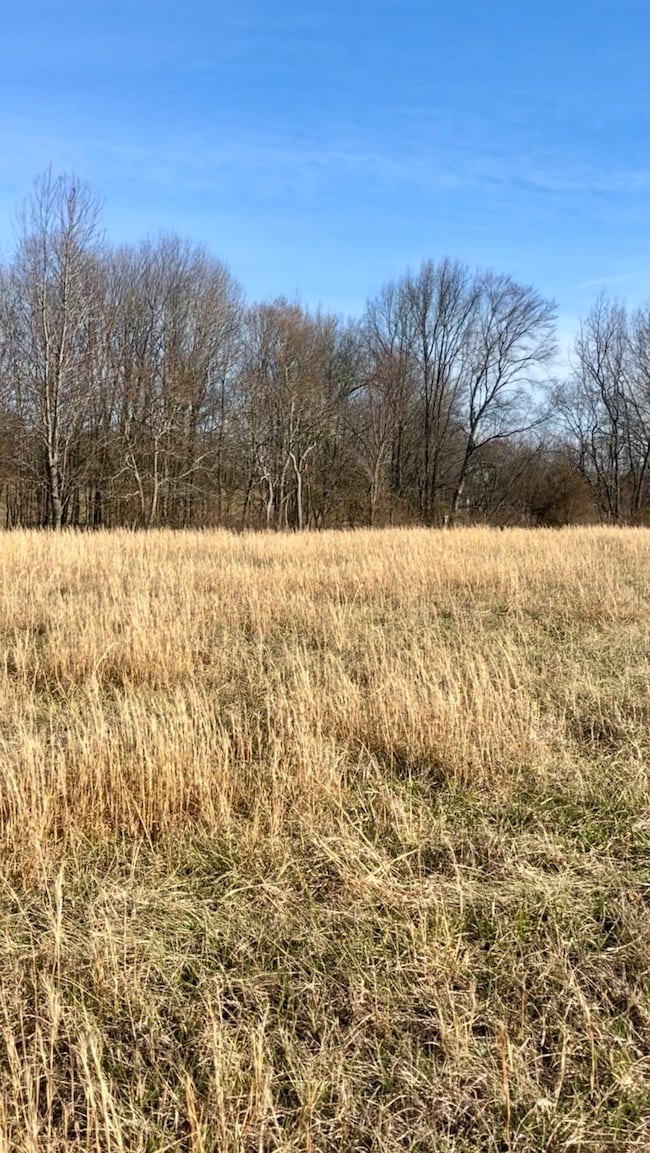 0 Halltown Rd, Portland, TN 37148 - photo 7