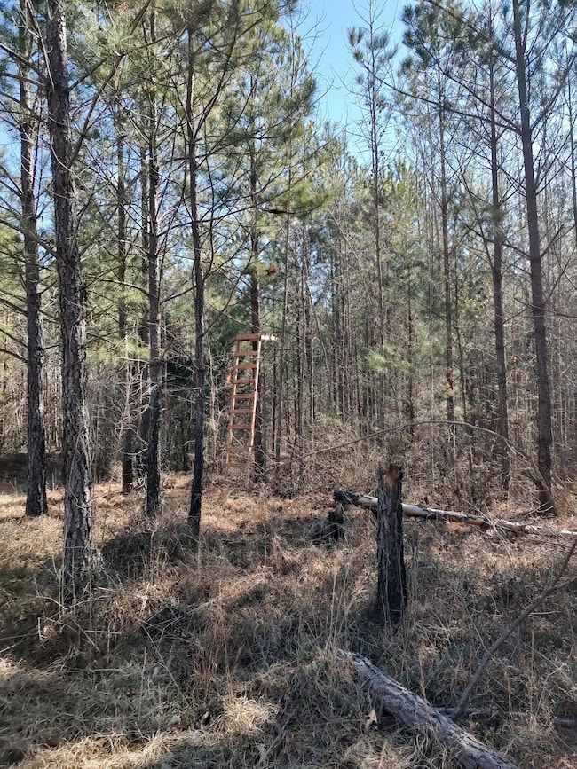 IMG_20250225_102824526_HDR
