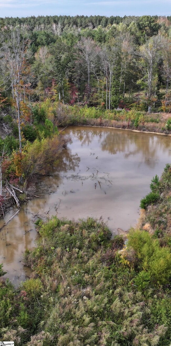 192 Putman Rd, Buffalo, SC 29321 - photo 4