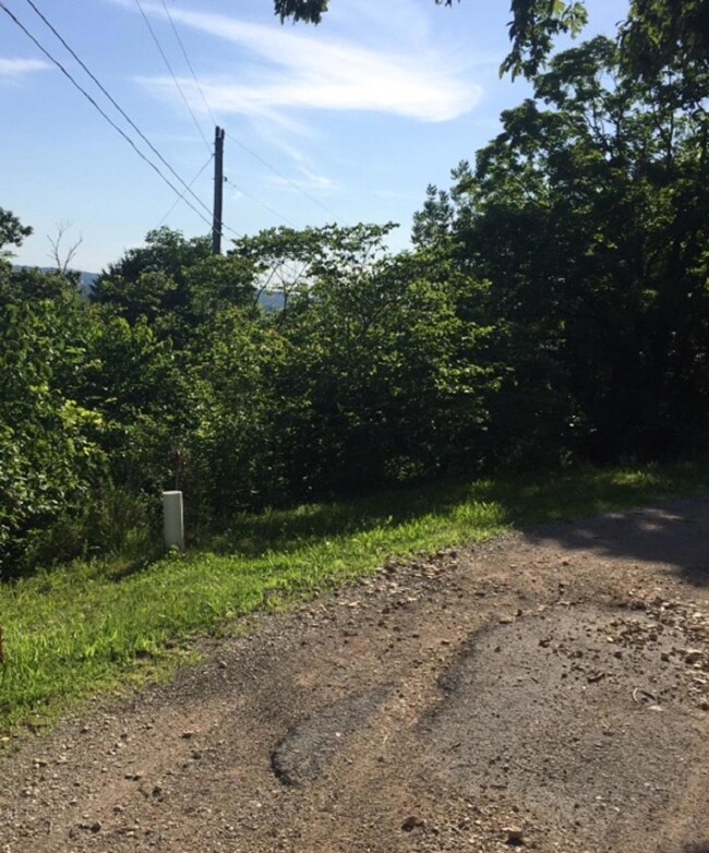 Lot 4 Foxcroft Estates Dr, Ruth B Rural Township, MO 65686 - photo 2