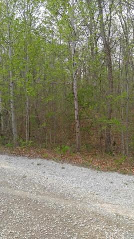 greenforest7