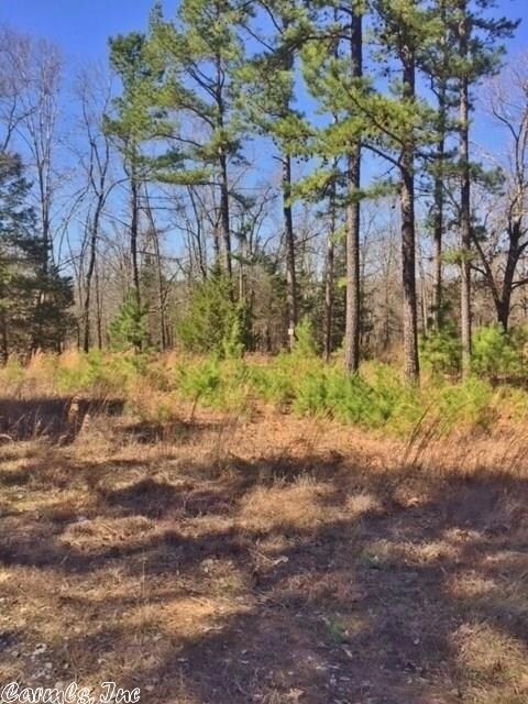 Tract 18/19 Skyhawk Dr, Cane Township, AR 72102 - photo 2