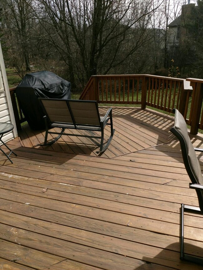 4-Back Deck 2