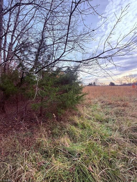 0 Tom Ball Rd, Randleman, NC 27317 - photo 7