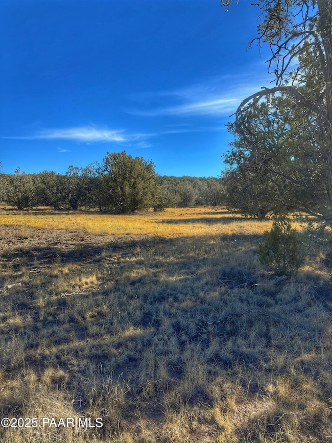 01 N Boulder Ridge, Seligman, AZ 86337 - photo 3