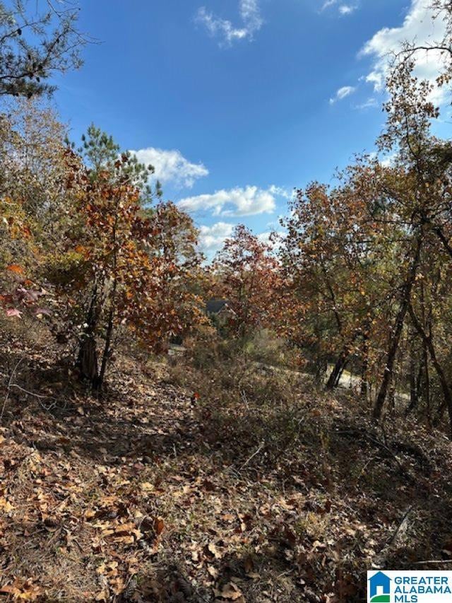 121 Crest Dr, Chelsea, AL 35043 - photo 3