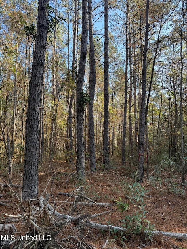 0 Corbit Blvd unit 4133748, McLain, MS 39456 - photo 7