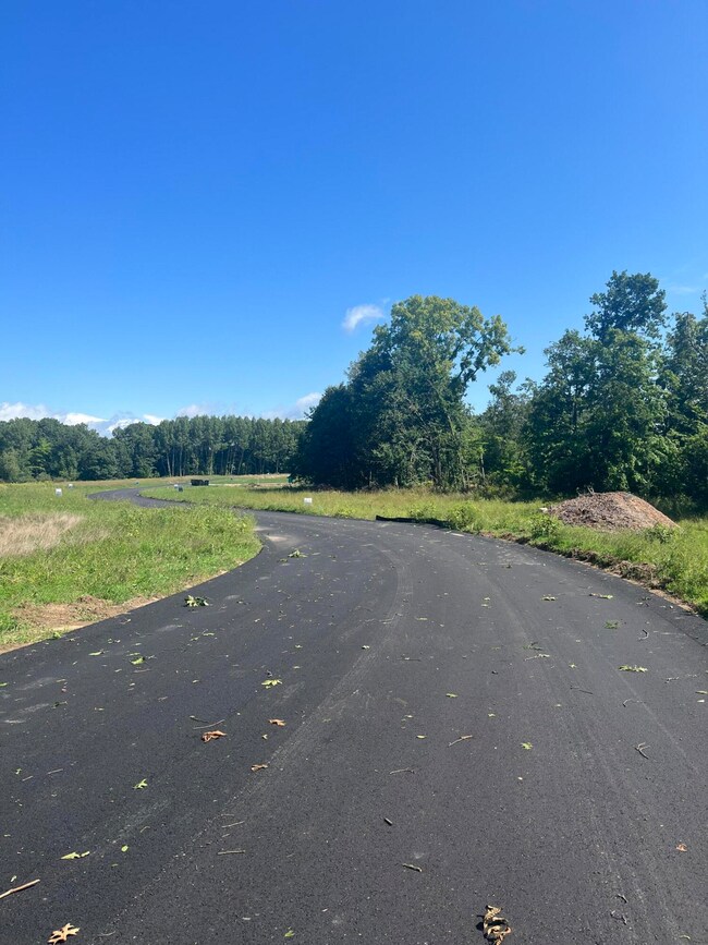 12905 Triple Oak, Lowell, MI 49331 - photo 3