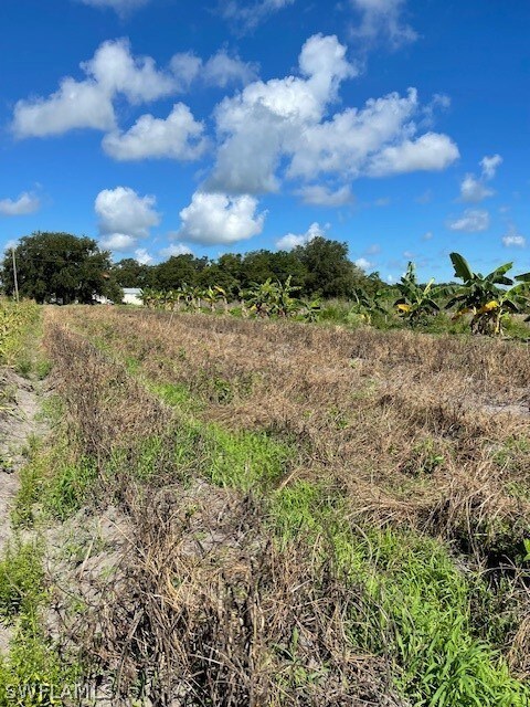 View of landscape featuring a rural view