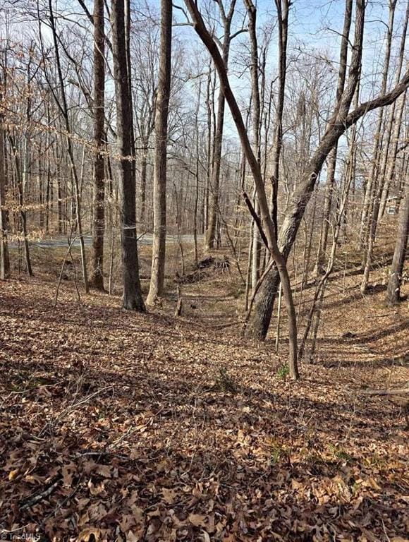 1065 Cedar Ln, Reidsville, NC 27320 - photo 5