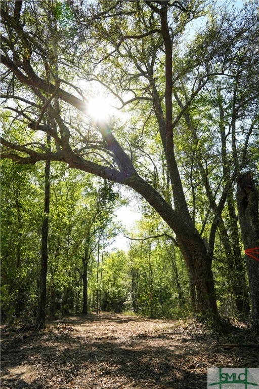 0 Floyd Rd unit Lot 9 328851, Pembroke, GA 31321 - photo 2