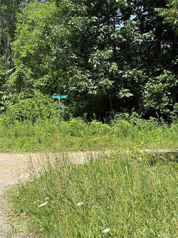 5550 Fisher Rd, Oceola Township, MI 48855 - photo 5