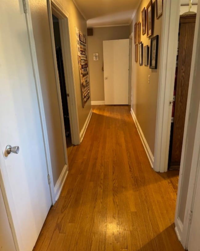 Hall with ornamental molding and light wood-type f