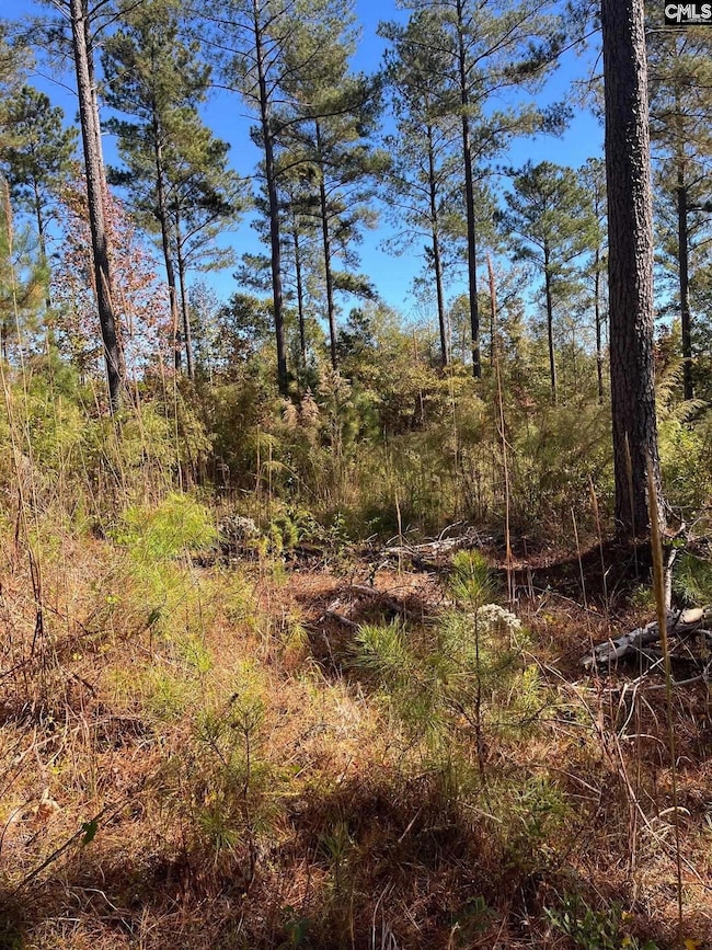 DRF 4 Dawkins Rd unit DRF 4, Pacolet, SC 29372 - photo 6