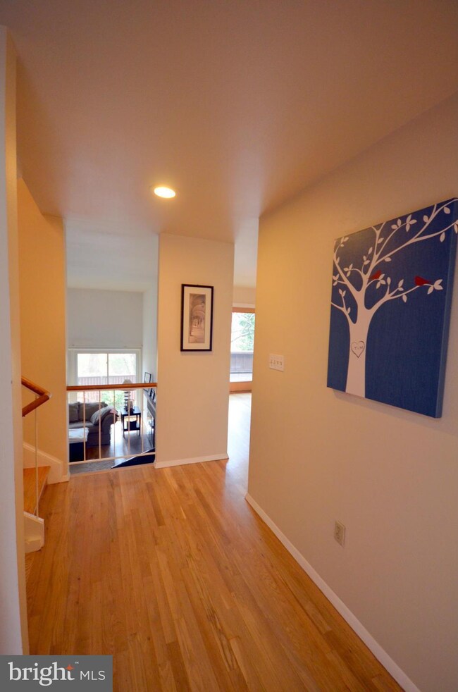 11529 Links Dr, Reston, VA 20190 - photo 4