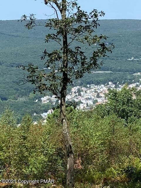 0 Flagstaff Rd unit PM-89080, Jim Thorpe, PA 18229 - photo 6