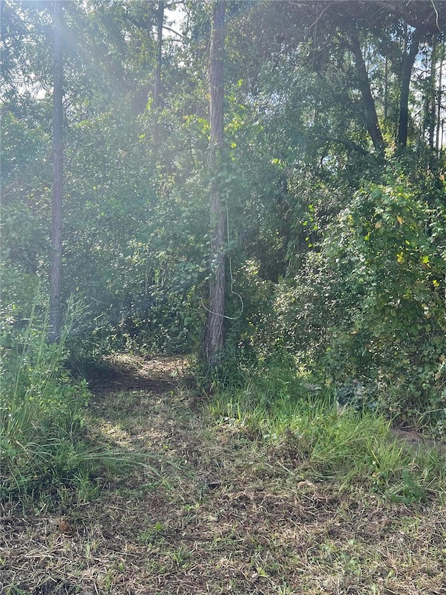 0 W Herrick Ave unit MFRG5104849, Eustis, FL 32726 - photo 2