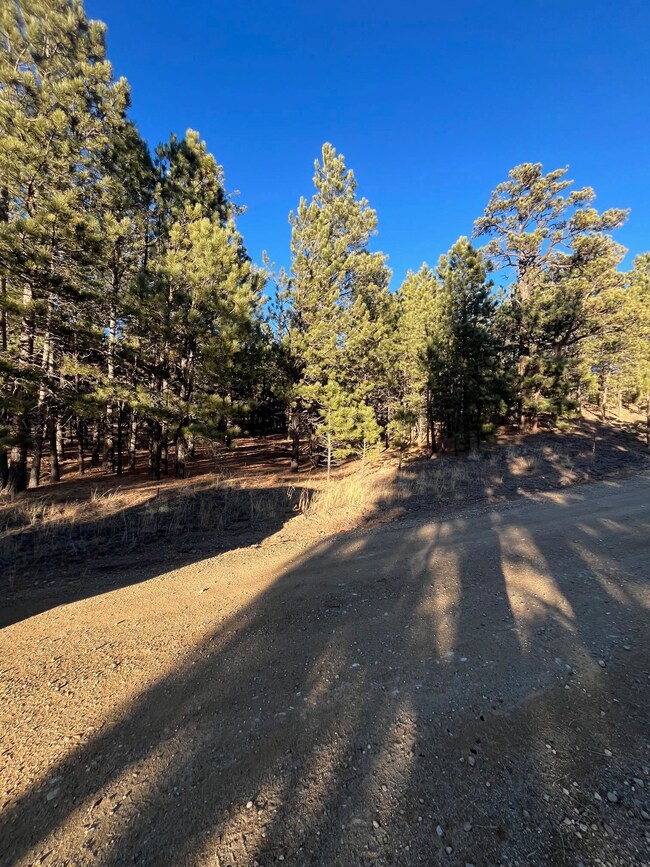 1 and 2 Lower Rd, Black Lake, NM 87710 - photo 3