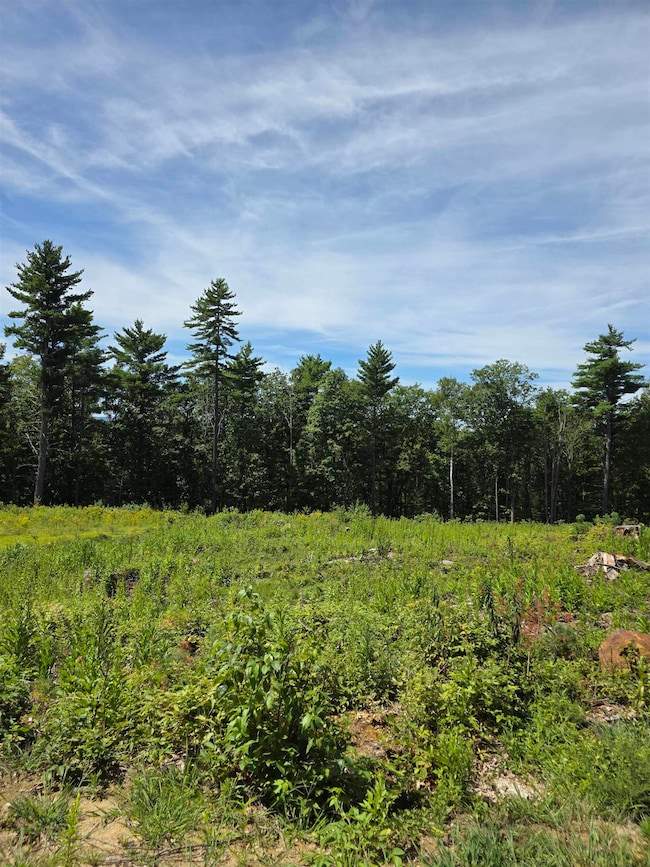 image of lower lot, mostly level