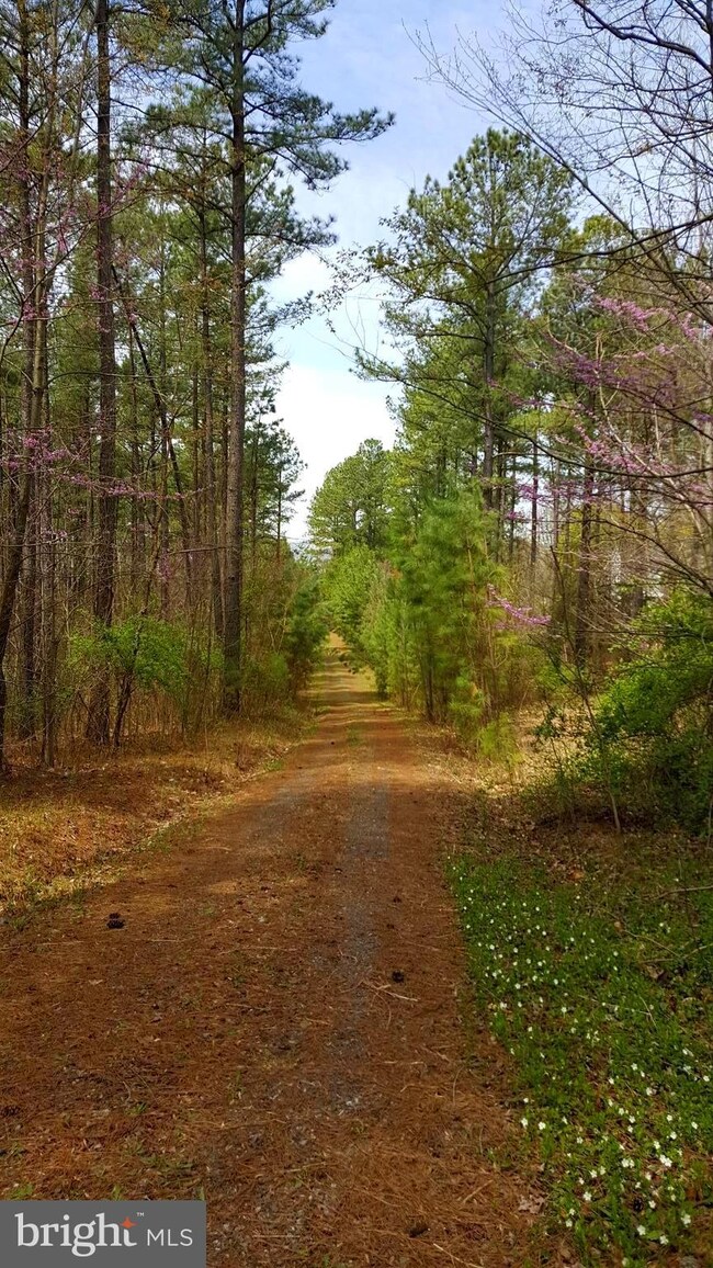 0 Stonewall Jackson Hwy unit 1001864226, Front Royal, VA 22630 - photo 2