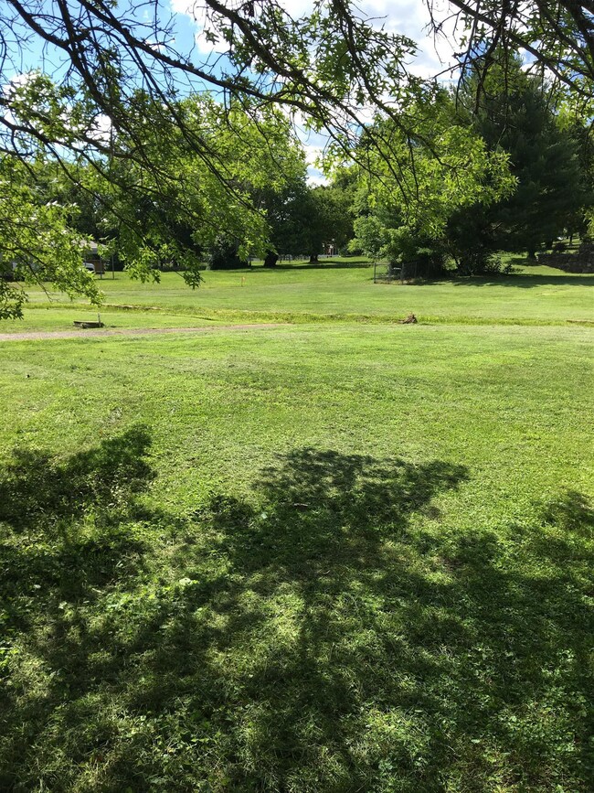 Plenty of ground for kids to play