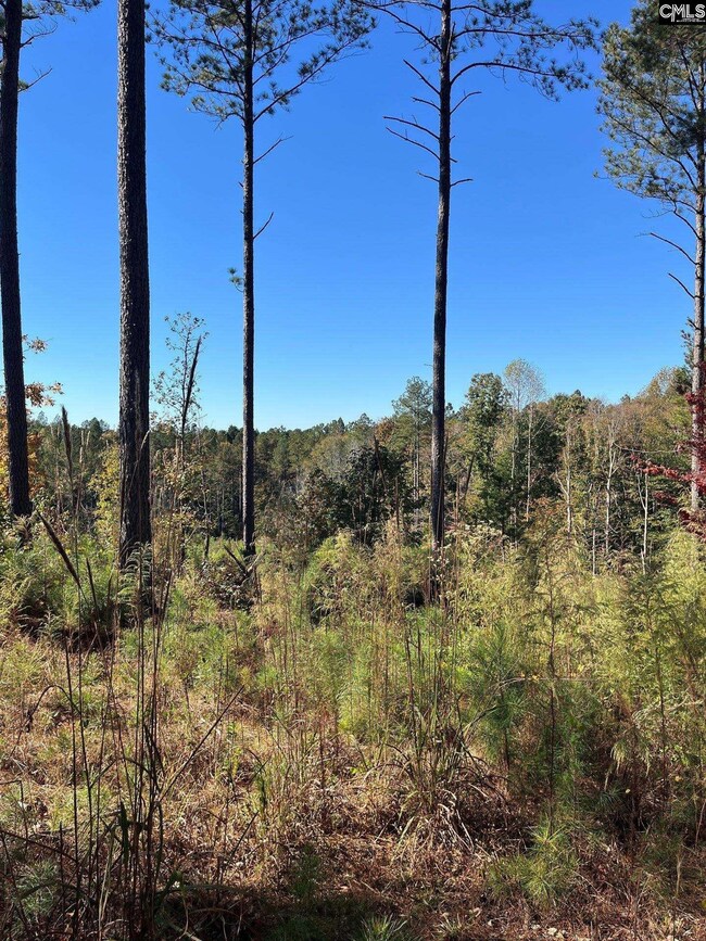 DRF 3 Dawkins Rd unit DRF 3, Pacolet, SC 29372 - photo 5