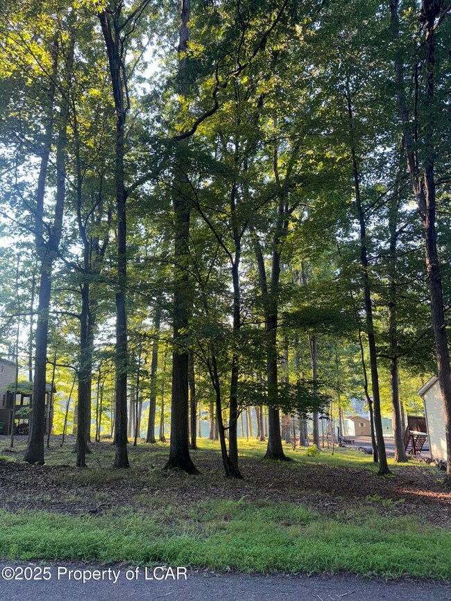 E-114 Conyngham Dr, Hazle Township, PA 18202 - photo 7