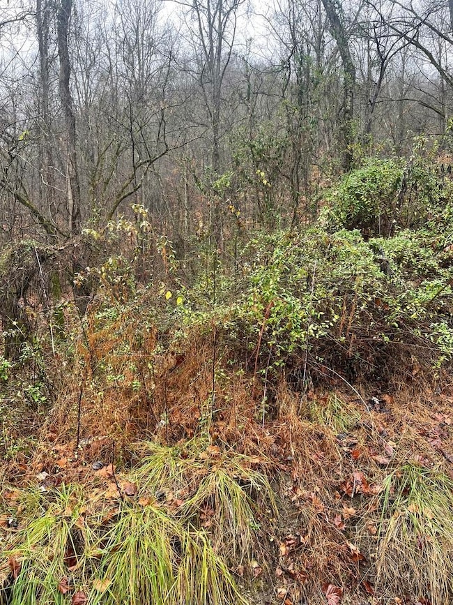 0 White Rd unit 59219, Warfield, KY 41267 - photo 3