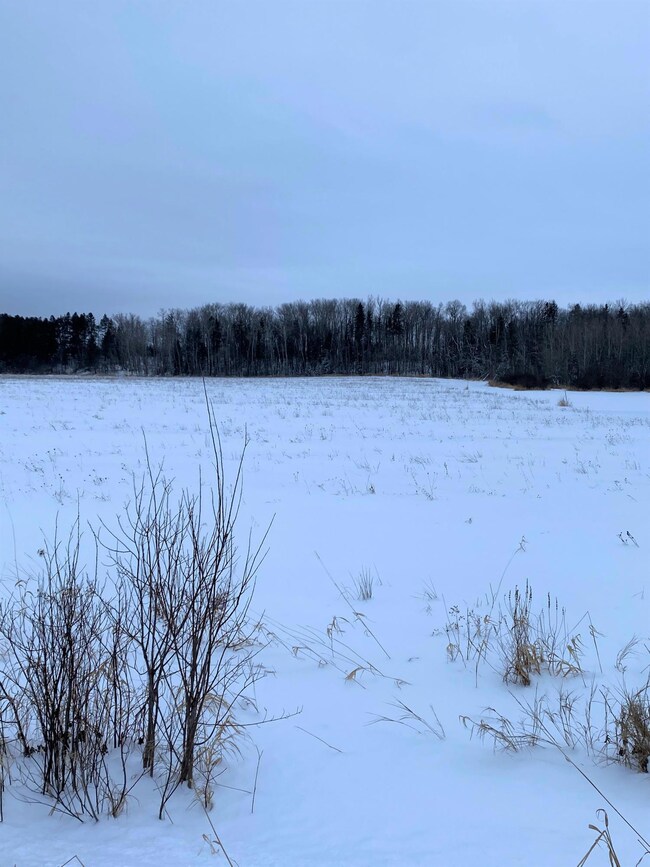 Winter 2021
