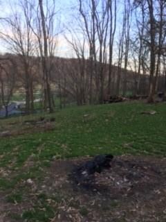 3 ACRES OF PRIVACY