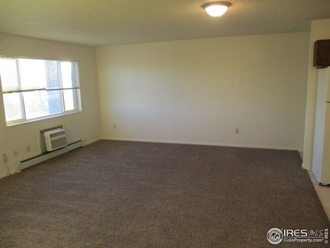 Spacious Living Room