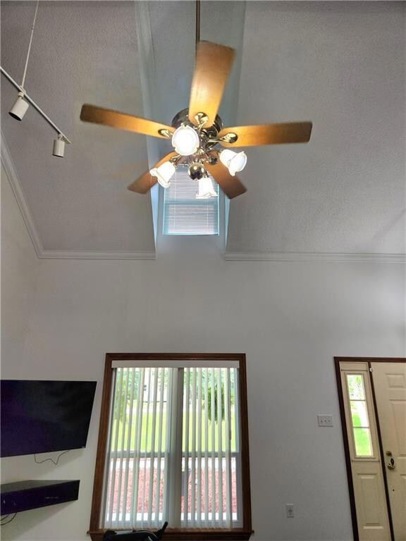 Soaring ceiling