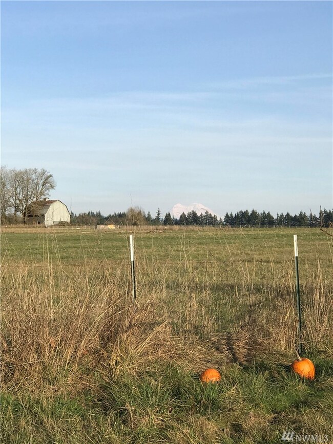 104 N Military Rd, Winlock, WA 98596 - photo 6