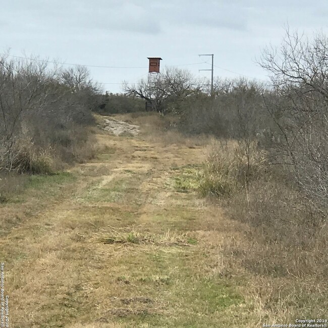 000 Old Fowlerton Rd, Fowlerton, TX MLS 1377186